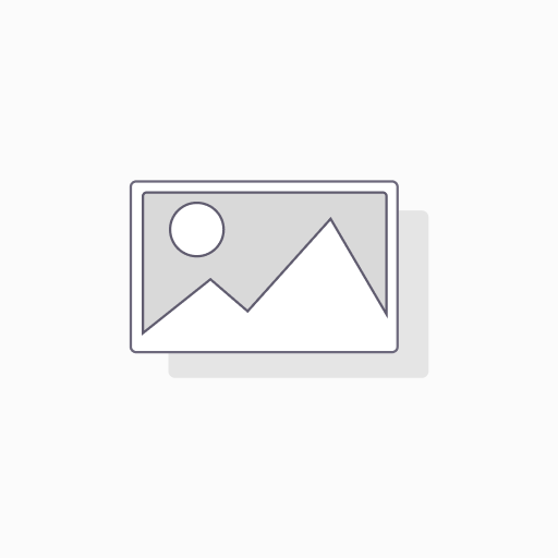 FEUILLE DE BRICK (POCHE DE 25) JR X 10